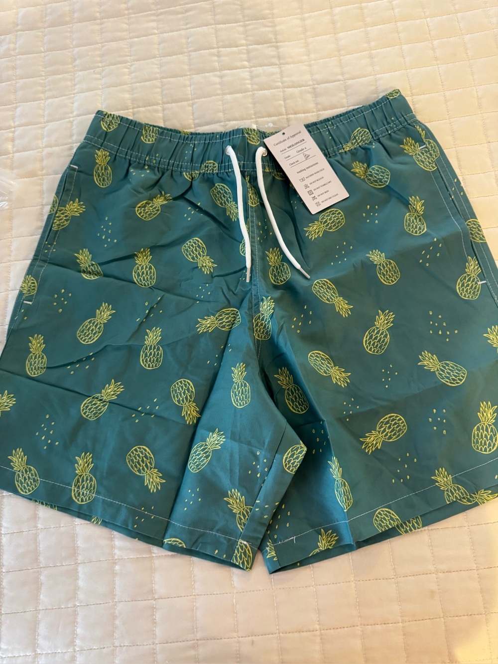 Men's Teal Pineapple Print Swim Shorts